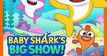 Baby Shark's Big Show!: Season 2 Episode 5 Best In Flow/Blizzard Wizard