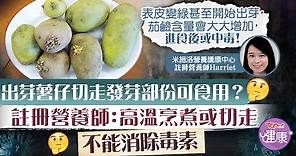 【薯仔出芽】出芽薯仔可食用？註冊營養師：切走不能消除毒素可致昏迷 - 香港經濟日報 - TOPick - 健康 - 食用安全