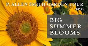 Best Plants for Blooms all Summer | Garden Tour: P. Allen Smith (2019)