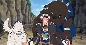 Kiba y Akamaru vs Los perros ninja de Kakashi - Naruto Shippuden