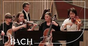Bach - Concerto for two violins in D minor BWV 1043 - Sato and Deans | Netherlands Bach Society