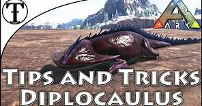 Fast Diplocaulus Taming Guide :: Ark : Survival Evolved
