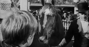 My Brother Talks to Horses (1947) - Original theatrical trailer
