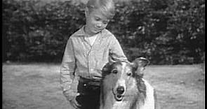 Lassie - Episode #104 - "The Runaway" - Season 4, Ep. 1 - originally aired September 8, 1957