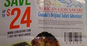 AFRICAN LION SAFARI: One African lion safari COUPON included