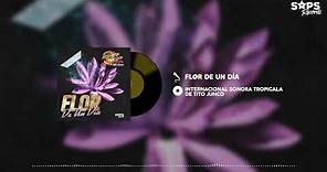 Internacional Sonora Tropigala De Tito Junco - Flor de un Día (Audio Oficial)
