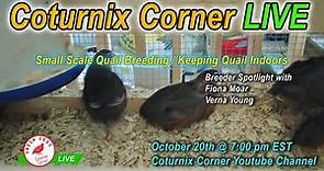 Coturnix Corner LIVE - Small Scale Quail Keepers