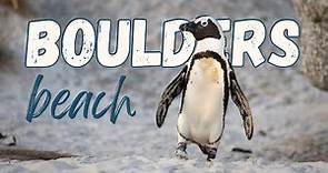 Discovering the adorable African Penguin colony at BOULDERS BEACH in Cape Town, South Africa.