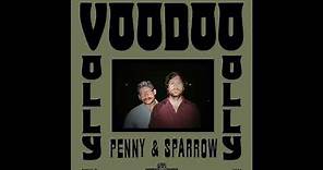 Penny & Sparrow - Voodoo (Visualizer)