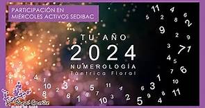 Descubre tu numerología para este año 2024