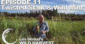 Survivorman | Les Stroud's Wild Harvest | Season 1 | Episode 11 | Twisted Stalk & Wild Mint
