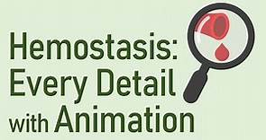 This Video Will SAVE 20 HOURS of Your Reading Time || Hemostasis: Animation Series Compilation