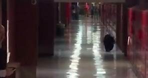Bear gets inside Bozeman high school