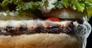 Burger King features moldy Whopper in new ad