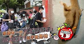 學測考試考到一半「老鼠爬脖子」 女學生崩潰！結果兇手竟是牠 | 台灣新聞 Taiwan 蘋果新聞網