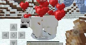 How To Make a Friendly Polar Bear in Minecraft Pocket Edition (Tame Polar Bears Addon)