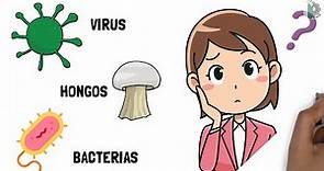 Diferencias entre virus ☣, bacterias 🦠y hongos 🍄 |Video animado y con ejemplos|