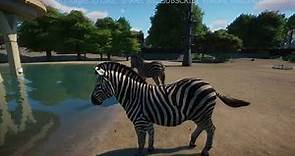 The plains zebra (Equus quagga)