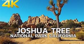 JOSHUA TREE NATIONAL PARK - USA, California, Travel, 4K UHD