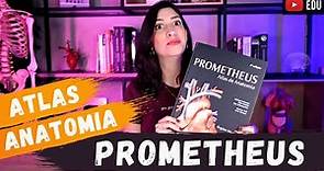 PROMETHEUS Atlas de Anatomia Humana! Review.