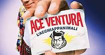 Ace Ventura - L'acchiappanimali - streaming online