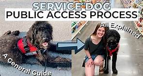 SERVICE DOG PUBLIC ACCESS PROCESS | a guide on how to public access train your service dog