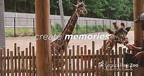Visit Seneca Park Zoo this Summer!