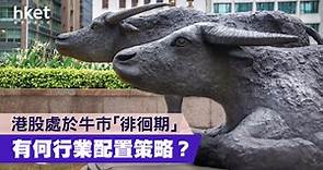 港股處於牛市「徘徊期」   行業配置應如何？ - 香港經濟日報 - 理財 - 個人增值