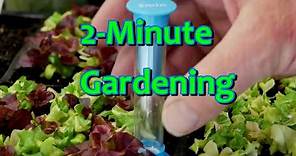 2-Minute Gardening - Determinate and Indeterminate Tomatoes