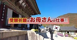 【釜山観光】韓国５大院の１つ梵魚寺（ポモサ）は紅葉の名所♪豊臣により焼消された寺は戦国を連想させる瓦の景色だった！
