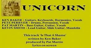 Unicorn - Is That A Shame ( + lyrics 1978)