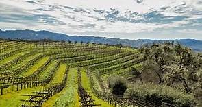 Exclusive Winery and Vineyard | Anderson Valley Estate, Mendocino County, California