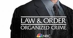 Law & Order: Organized Crime: Season 2 Episode 20 Lost One