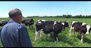 Les éleveurs Paysan Breton connaissent bien leurs vaches