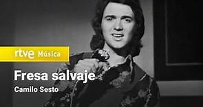 Camilo Sesto - "Fresa salvaje" (1972)