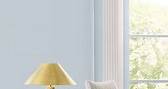 Sherwin-Williams 2024 Color of the Year
