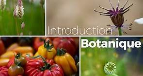 Introduction à la botanique - Introduction