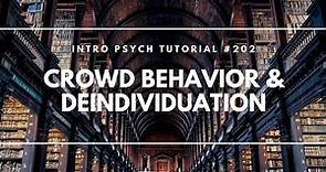 Crowd Behavior & Deindividuation (Intro Psych Tutorial #202)