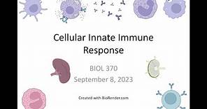 Immunology Fall 2023: Lecture 5 Cellular Innate Immunity