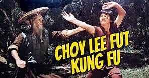 Wu Tang Collection - Choy Lee Fut Kung Fu (subtítulos en español)