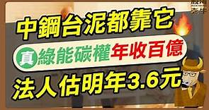 【定存股】中鋼台泥都靠它，真‧綠能碳權年收百億，法人估明年3.6元｜《老牛夜夜Talk》EP178