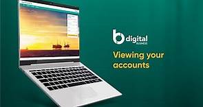 Baiduri b.Digital Business video tutorial | Viewing your accounts