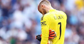 David de Gea calls Manchester United star a 'beast' after his performance vs Coventry