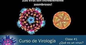Clase #1 - ¿Qué es un virus?
