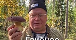 Vladimir Nikolaev (@nikolaevcongress)’s videos with оригинальный звук - Vladimir Nikolaev