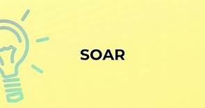 What is the meaning of the word SOAR?