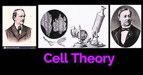 CELL THEORY/ CELL BIOLOGY / SCHWANN/ Robert Hooke/Anton van Leeuwenhoek