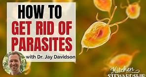 How to Get Rid of Parasites and Keep them Away with Dr Jay Davidson