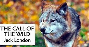 THE CALL OF THE WILD by Jack London - FULL Audiobook (Chapter 3)