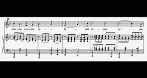 Gerogian Ave Maria composed by Patriarch of All Georgia ILIA II (Score)